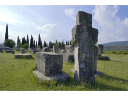 Radimlja - Stari nadgrobni spomenici